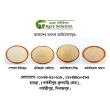 চাল